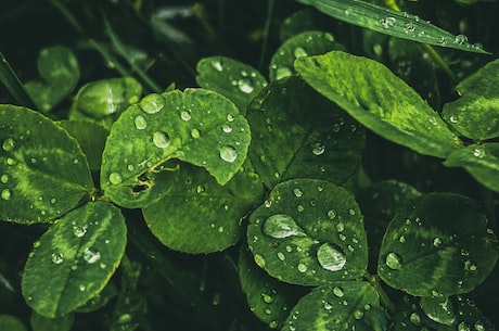 秋天的雨课文(《秋天的雨》：从课文中领略大自然的美好)