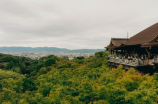 给女朋友疏通下水道(女友忙中有解闷招，疏通下水道轻松学)